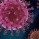 Virus