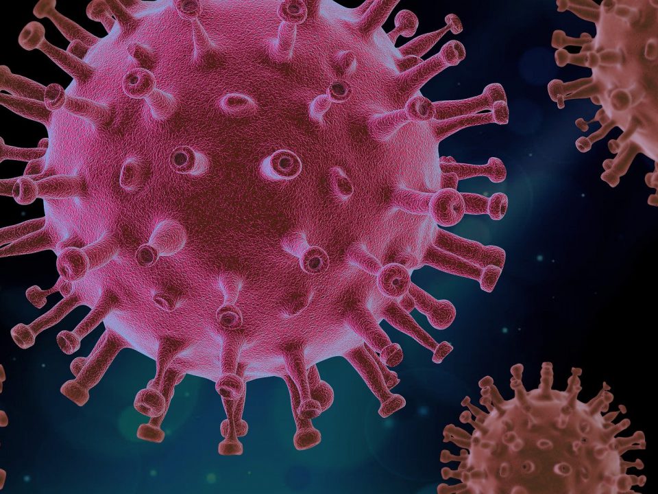 Virus