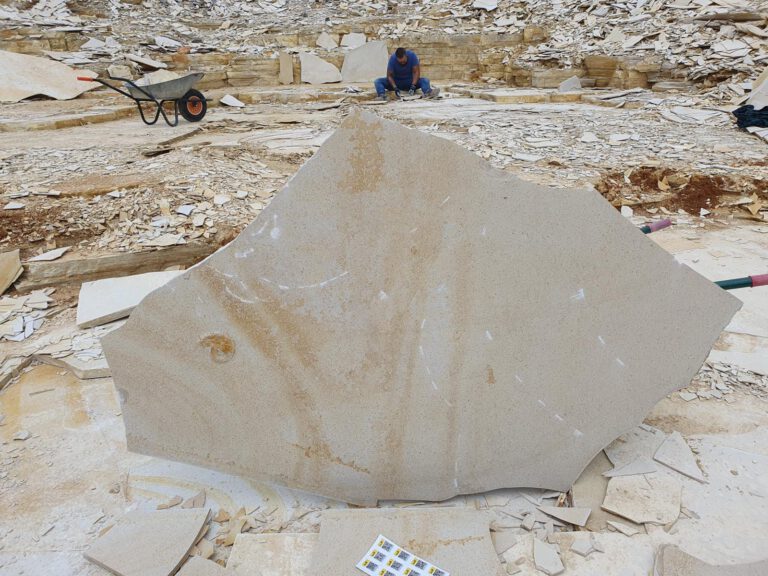 Fossilienfund; Steinbruch; Platte